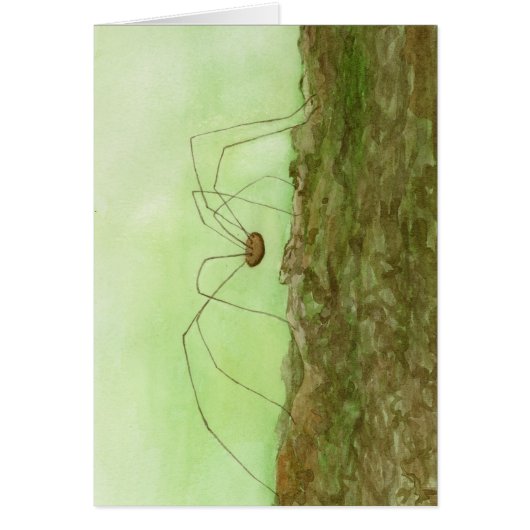 Daddy Long Legs Card (Vorne)