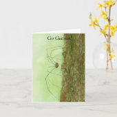 Daddy Long Legs Card Karte (Gelbe Blume)