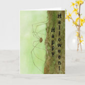 Daddy Long Legs Halloween Card Karte (Gelbe Blume)