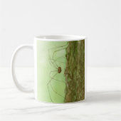 Daddy Long Legs Kaffeetasse (Links)