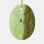 Daddy Long Legs Keramik Ornament (Vorne)