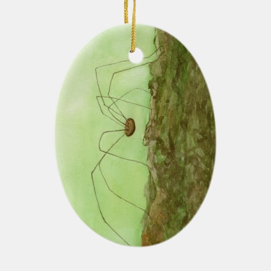 Daddy Long Legs Keramik Ornament (Hinten)