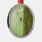 Daddy Long Legs Ornament Aus Metall (Rechts)