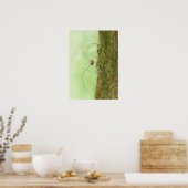 Daddy Long Legs Poster (Küche)
