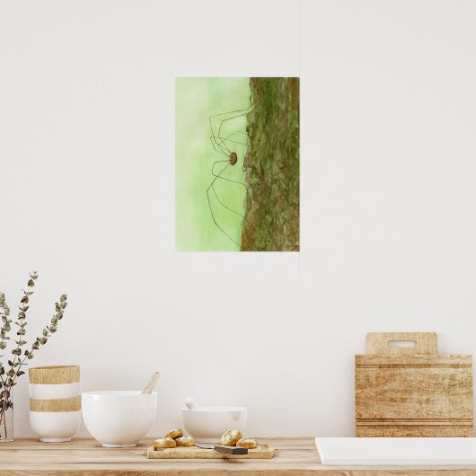 Daddy Long Legs Poster (Küche)