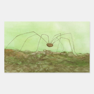 Daddy Long Legs Rechteckiger Aufkleber