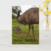 Daddy und Baby Emu Chicks, Geburtstag Grußkarte. Karte (Gelbe Blume)