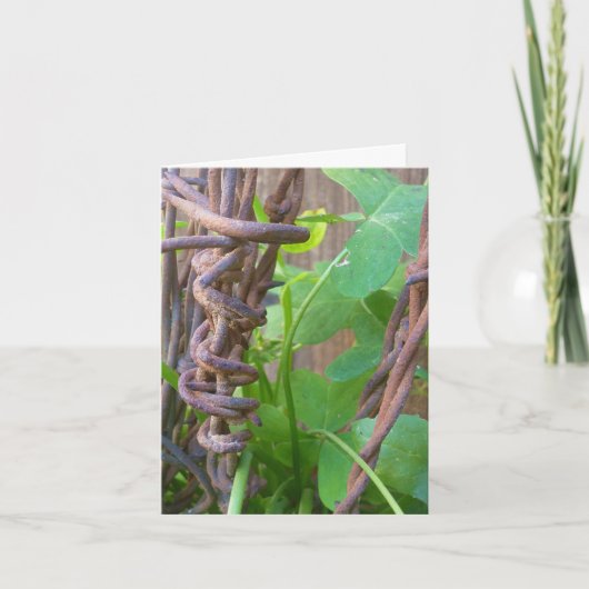 Daddy's Barbed Wire Karte (Vorderseite)