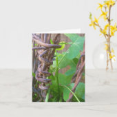 Daddys Stacheldraht Karte (Gelbe Blume)