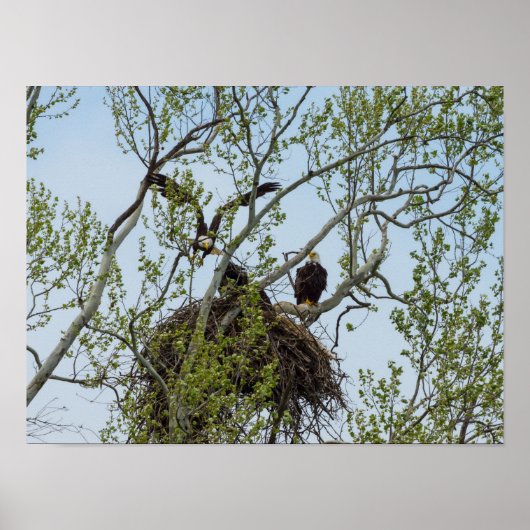 Daddys Zuhause Poster (Vorne)
