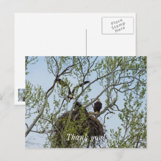 Daddys Zuhause Postkarte (Vorne/Hinten)