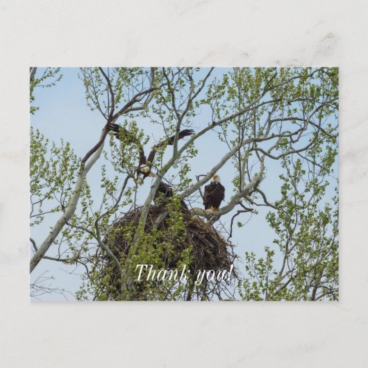 Daddys Zuhause Postkarte (Vorderseite)