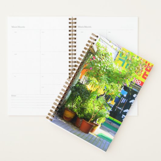 Daegu City Street Planner Planer (Anzeige)