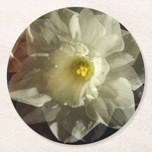 Daffidol Dreams Runder Pappuntersetzer (Vorderseite)