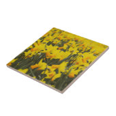 Daffodialfeld Fliese (Seite)