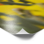 Daffodialfeld Fotodruck (Ecke)