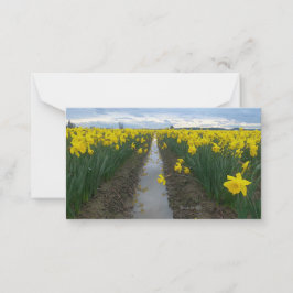 Daffodialfeld Mitteilungskarte