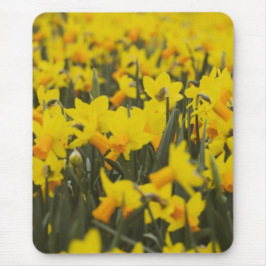 Daffodialfeld Mousepad (Vorne)