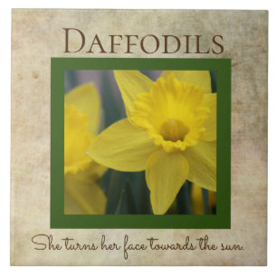 Daffodice Frühjahrs-Blume Fliese