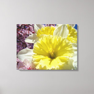 Daffodien Blume Leinwand drucken Frühlingsblumen