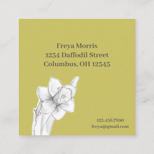 Daffodien Frische geschnittene Blume Botanischer Z Quadratische Visitenkarte (Rückseite)