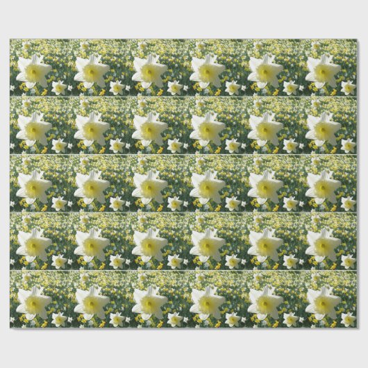 Daffodien Frühlingsblumen Muster Umhüllungspapier Geschenkpapier (Flach)