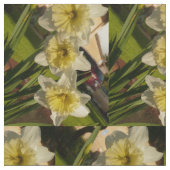 Daffodien für den Frühling Stoff (Nahaufnahme)