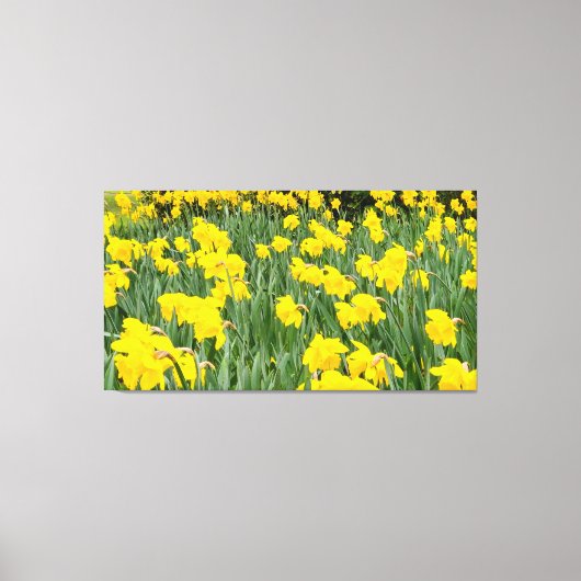 Daffodien Leinwanddruck (Vorderseite)