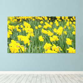 Daffodien Leinwanddruck