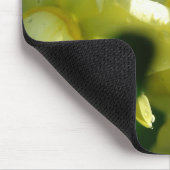 Daffodien mit Wassertropfen Mousepad (Ecke)