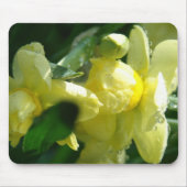 Daffodien mit Wassertropfen Mousepad (Vorne)