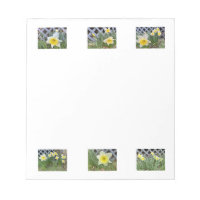 Daffodien