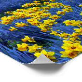 Daffodien Poster (Ecke)