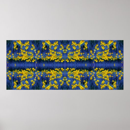 Daffodien Poster (Vorne)