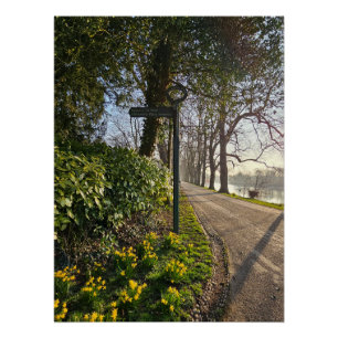 Daffodien Poster