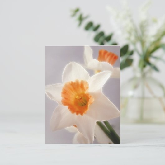 Daffodien Postkarte (Stehend Vorderseite)