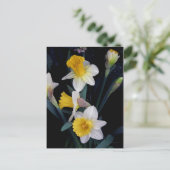 Daffodien Postkarte (Stehend Vorderseite)