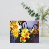 Daffodien Postkarte (Stehend Vorderseite)