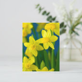 Daffodien Postkarte (Stehend Vorderseite)