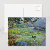 Daffodien Postkarte (Vorne/Hinten)