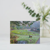Daffodien Postkarte (Stehend Vorderseite)