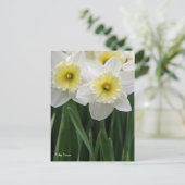 Daffodien Postkarte (Stehend Vorderseite)