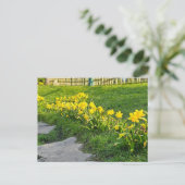 Daffodien Postkarte (Stehend Vorderseite)