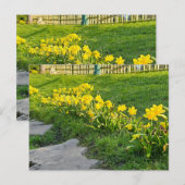 Daffodien Postkarte (Vorne/Hinten)