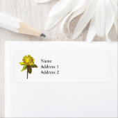 Daffodien suchen (Insitu)