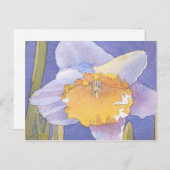 Daffodil 2003 postkarte (Vorne/Hinten)