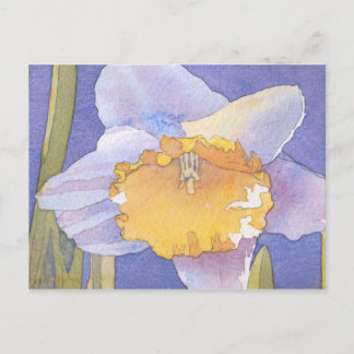 Daffodil 2003 postkarte
