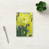daffodil-22.JPG Post-it Klebezettel (Büro)