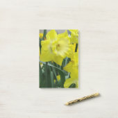 daffodil-22.JPG Post-it Klebezettel (Auf Schreibtisch)
