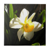 Daffodil am Daybreak Tile Fliese (Vorderseite)
